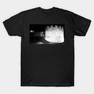 A View of York T-Shirt